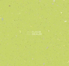 Линолеум Forbo SureStep Original 172982 yellow green фото 1 | FLOORDEALER